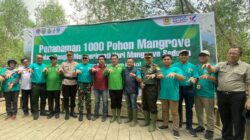 BEM UNSRI Tanam 1000 Bibit Magrove di Taman Magrove Lanal Palembang, Rimau Sungsang, Kec Banyuasin II, Memperingati Hari Magrove Sedunia